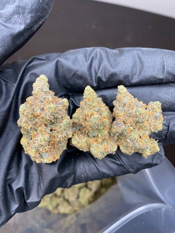Cannabis – Bild 2