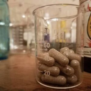 KAPSEL VON FUNGHI GOLDEN LEHRER